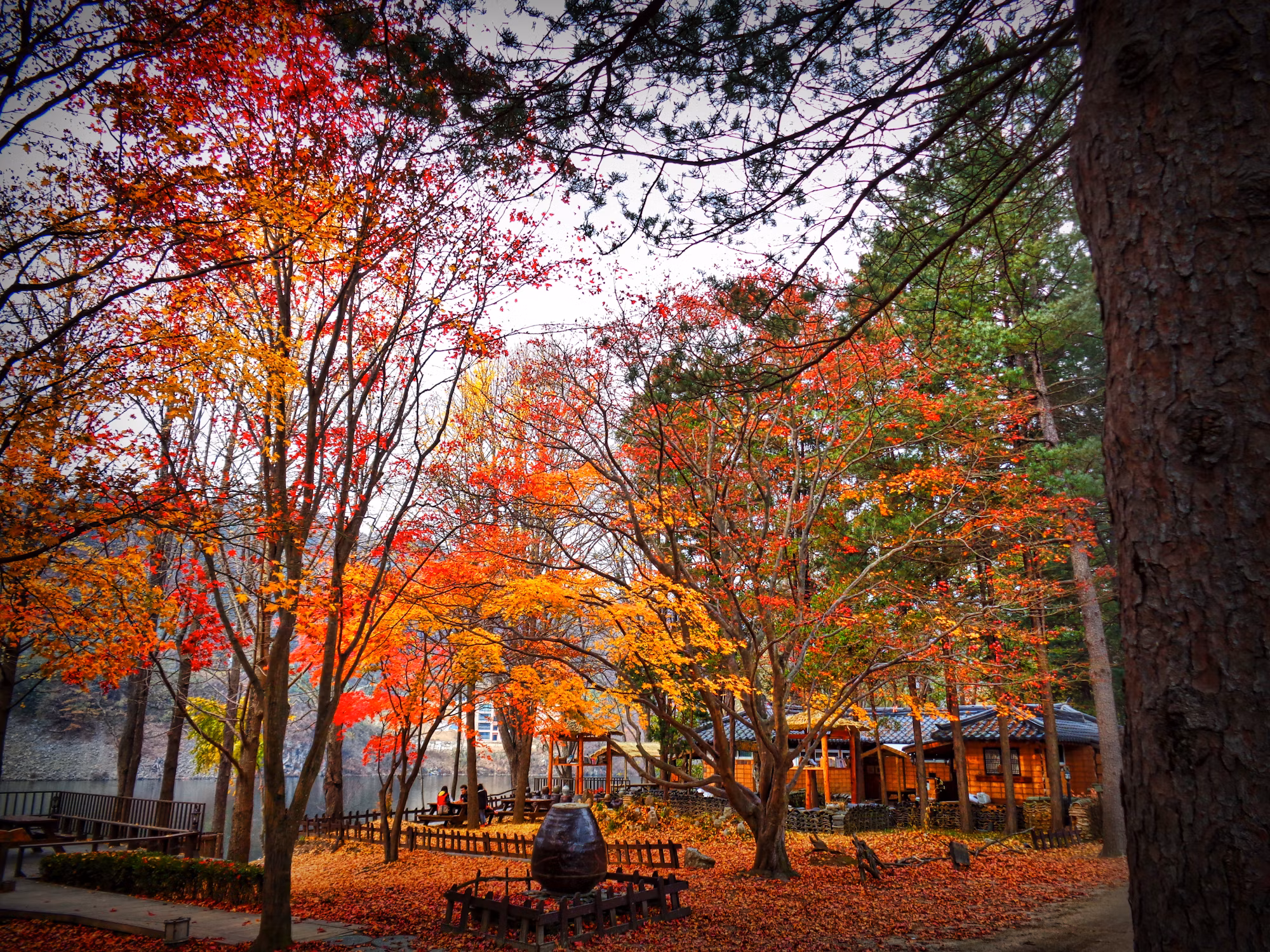 Exploring the World Through Solo Travel: A Journey of Self-Discovery